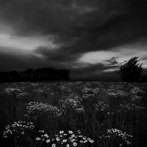 Mahom by apocalypse