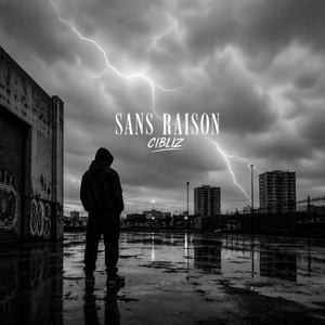 Sans Raison by Cibliz