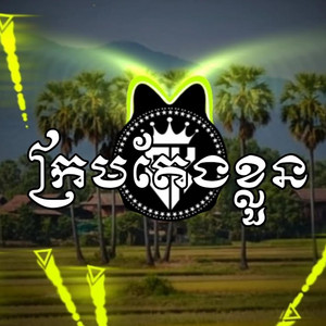 Reels Star - ក្រមតែងខ្លួន | ណូយវ៉ាន់ណេត ft. ម៉េងកែវពេជ្រចិន្ដា REMIX