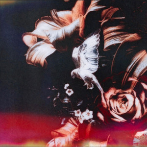 Natural cover art