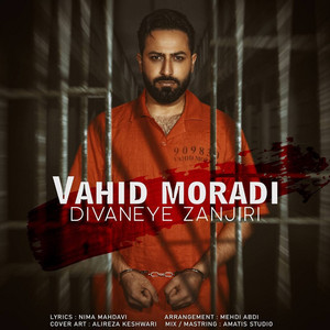 Vahid Moradi - Divaneye Zanjiri