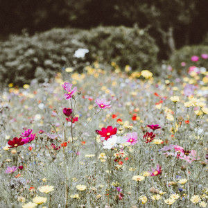 SigmaMusicArt - The Happy