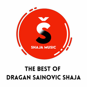 Dragan Sainovic Saja - Šorom Šajke