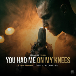 You had me on my knees by No Lessons Learned