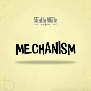 Shatta Wale - Mechanism