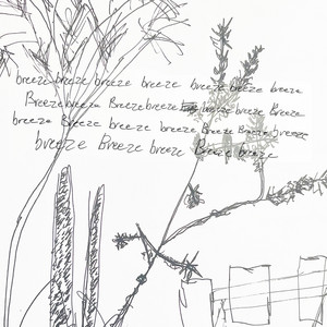 Breeze