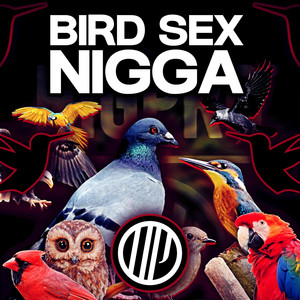 Bird Sex Nigga