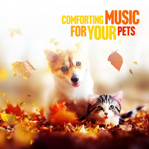 Comforting Music for Your Pets: Dog and Cat Friendly Music