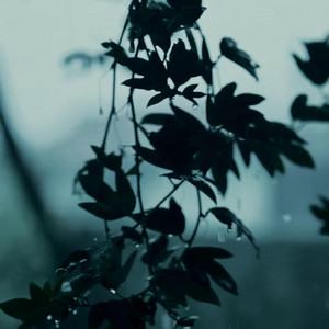 The Smell of Rain by Soleno