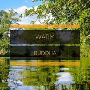 # 1 Album: Warm Buddha album