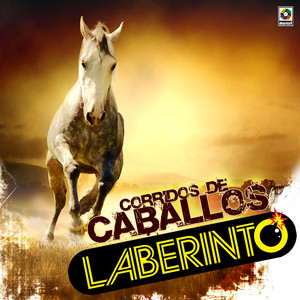 Laberinto Photo