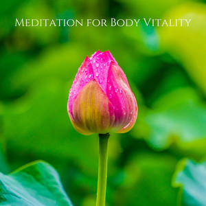 Meditation for Body Vitality: Recovery, Powerful Healing Music album