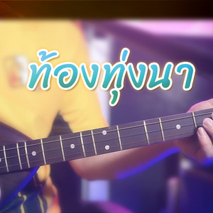 WUTSTUDIO - ท้องทุ่งนา