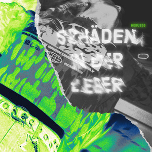 Schäden in der Leber (feat. WhyAsk!)