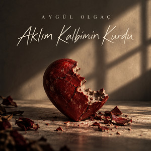 Aklım Kalbimin Kurdu by Aygül Olgaç