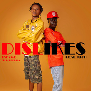 Dislikes (feat. Real Rich)