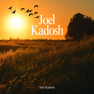 Tu Misericordia me Alcanzó by Joel Kadosh