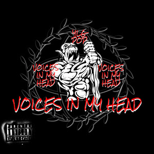Voices In My Head