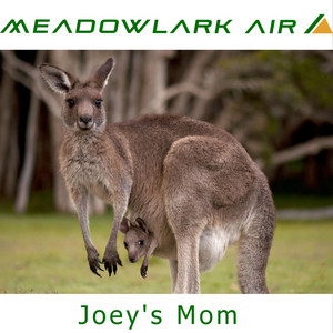 Joey's Mom by Meadowlark Air