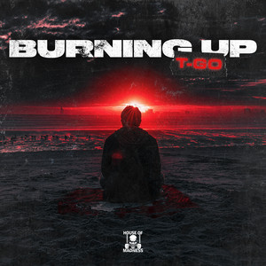 Burning Up by Dj T-go, House Of Madness