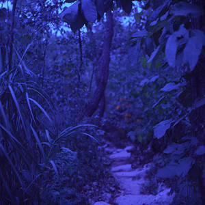 A Different World