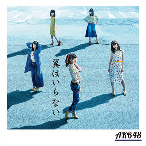 AKB 生写真 通常 翼はいらない