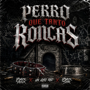 Perro que tanto roncas by Black Aclik, Black star