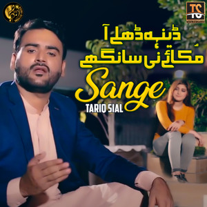 Tariq Sial - Sange