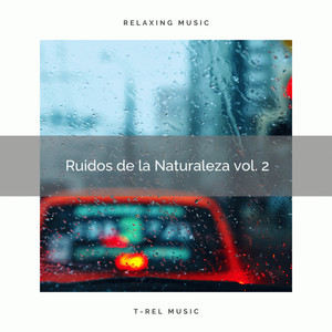 1 Ruidos de la Naturaleza vol. 2 album