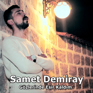 Samet Demiray poster