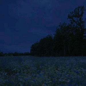 submerged in white by 2003, noescape