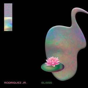 Blisss cover