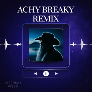 Meerkat Vibes - Achy Breaky (Special Version)