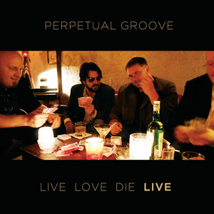To Shed Light or Cast Shadows - Live by Perpetual Groove