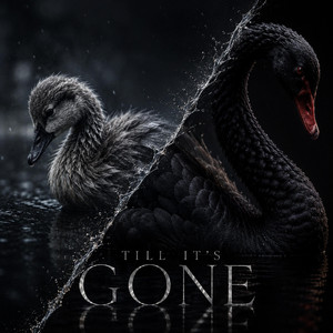 Till It's Gone by Accomplice Ego, SKV