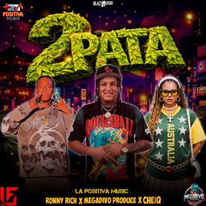 Megadivo Produce, Ronny Rich, Cheiq & La Positiva Music - 2 Pata