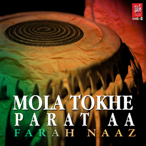 Farah Naaz - Habibi Habibi