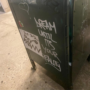punk by bugs