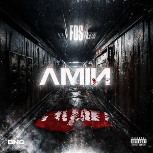 FDS by AMIN