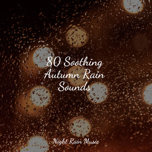 80 Soothing Autumn Rain Sounds album