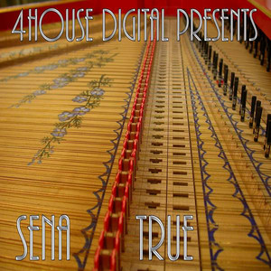 True - Original Mix by Sena
