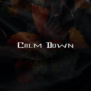 Calm Down by rtlanto beats