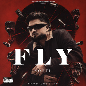Fly by Kotti