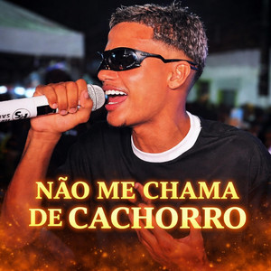 Não Me Chama de Cachorro/ Heitor Santos Ao vivo - Radio Edit by Sucessos nordeste
