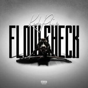 Portada de Flow Check