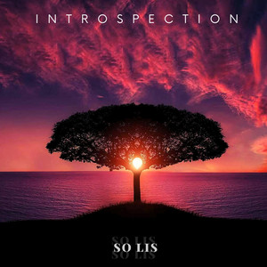 Introspection by So Lis