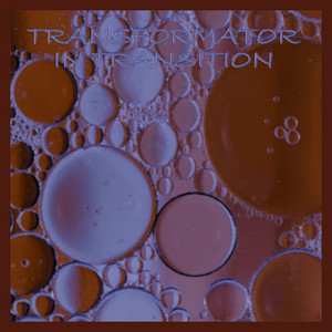 In Transition by Transformator