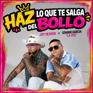 Haz Lo Que Te Salga del Bollo by Osmani Garcia 