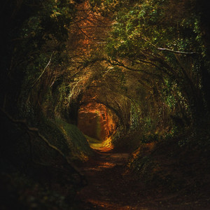 The Fellowship Theme (from 'Lord of the Rings') by Nordahl Skog Album Cover