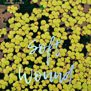 Soft Wound by Roman Lesmin